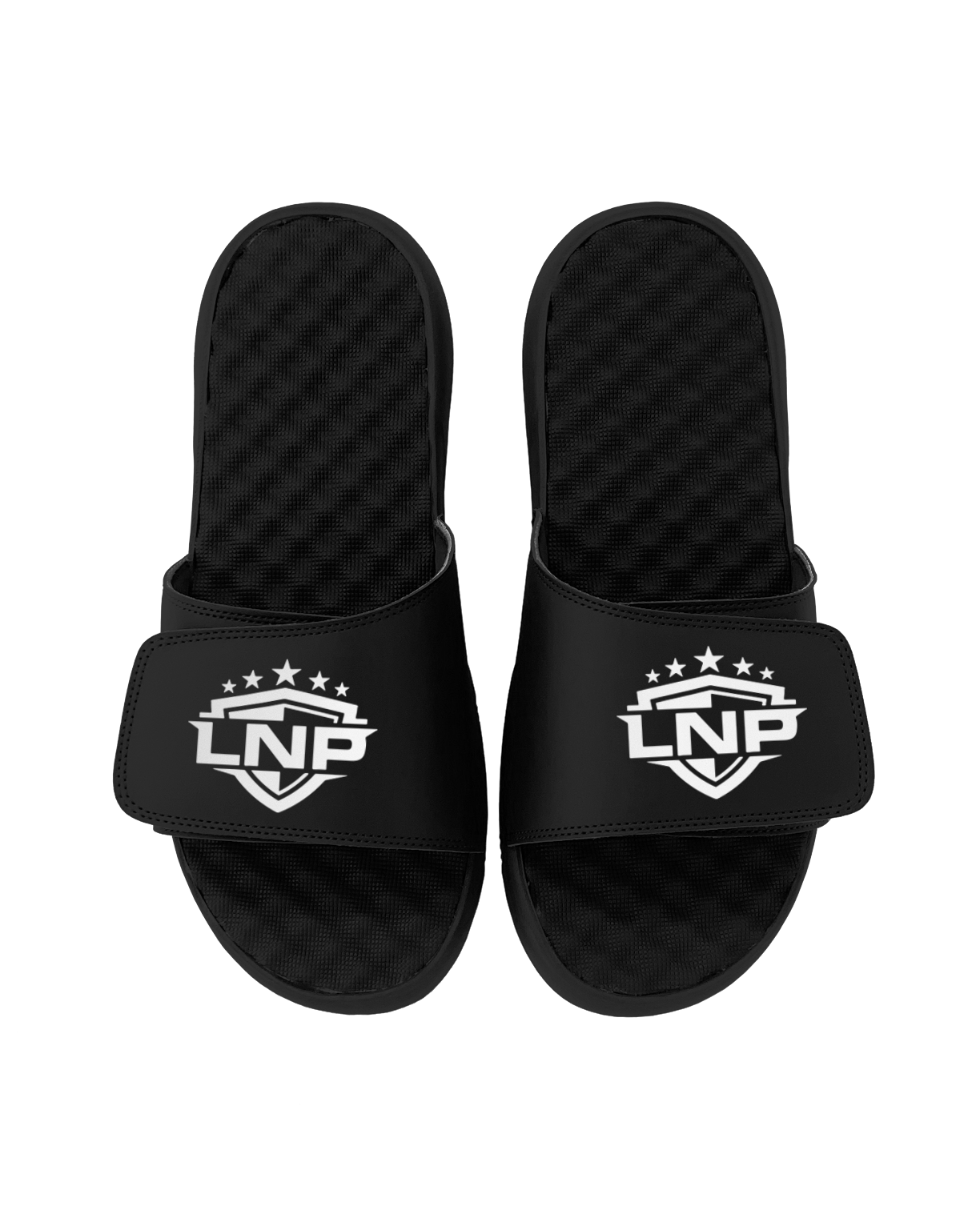 LNP SHEILD SLIDES